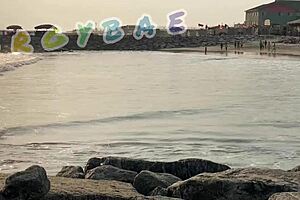 Couple flashes thongs publicly at bar beach