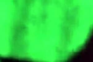 Fucking elegant milf?