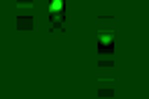 yeah his bigg dick wrecked my pussy fer cam fans