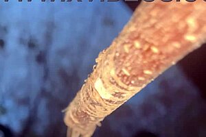 Forest witch bends over for black monster cock doggystyle creampie pounding