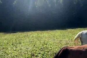 Tattooed crossdresser vibes push finish line goals inked tease