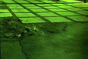 oh no! bound alone in bondage for my extreme webcam tease!!