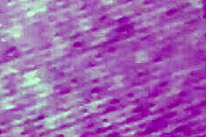 her huge fat ebony ass tempts me i fuck it rough and lick deep