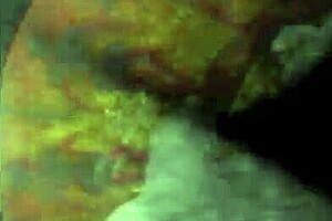 hey, dive into this sizzling vintage erotic art showcase with me