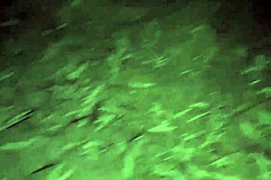 indian college babe chudai deep in jungle exam surprise