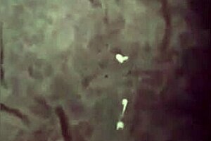 Ultimate Cumshot Highlights in Epic Compilation