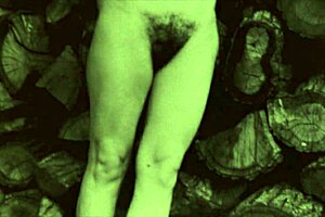 Dark Lantern Entertainment Showcases Two Centuries of Vintage Hairy Pussy Action