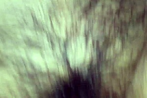 Hairy Fat Pussy Bent Over for Intense Doggystyle Thrusting