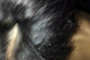 The petite teen casually kneels to suck his throbbing cock deeply