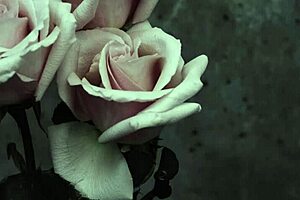 i dont... love you anymore, mcr goth vibes hit hard sub español