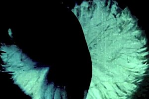 Victorian gentleman's secret erotic confessions reveal hairy pussy sins in retro lantern tales