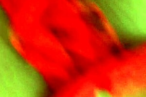 big tits babe gives blowjob then exposes wet shaved pussy