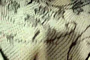 finally banging my wife's horny latina friend pov close up cumshot