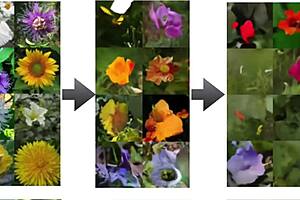 reporting on the bombardilo crocodilo mission