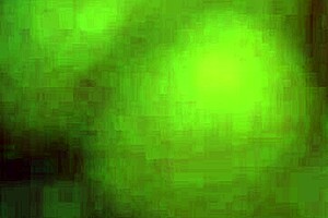 who's that curly hair lightskin ebony big ass tits rough doggystyle backshots monster cock?!