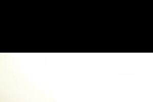 Intriguing Salvador BBW Tattoo Babe Video 08