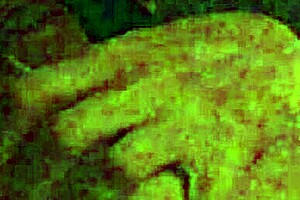 Waking up overwhelmed by intense horniness deep in the night