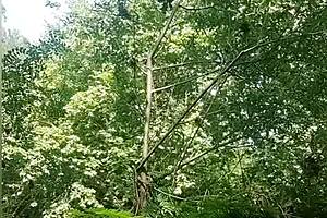 she masturbated blissfully in the river spotting a sneaky voyeur nearby