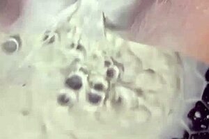 hot arabian teen strips teases masturbates dances in la shower show