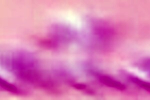 Huge BBC dildo ruins my asian pussy!