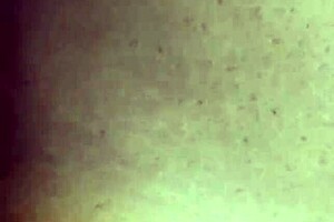 Tlof Tlof Pounding Tall Skinny Oiled Melina Hard