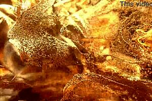 hey horny petite babe want my tight ass fucked gaping till i scream