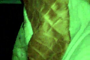 i crave that massive interracial cock bending me over doggystyle