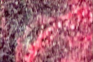 devorando um cuzão enorme antes de gozar na boca gulosa dela