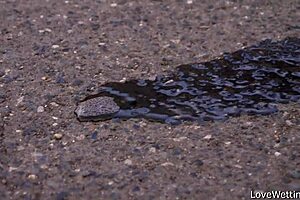 Sally Engages in Solo Softcore Pissing Outdoors Publicly