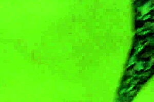 hey babe bend over doggystyle right here in this hotel