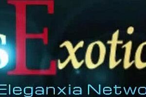 blonde masseuse bends over for anal instructions from her teacher in nuru session