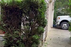 Naked Gardening Flashing Ass and Cock