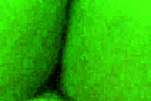 Petite babe rides cock reverse cowgirl to squirting pussy orgasm!