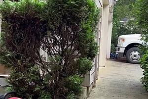 Naked Gardening Flashing Ass and Cock