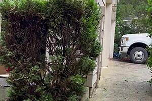 Naked Gardening Flashing Ass and Cock