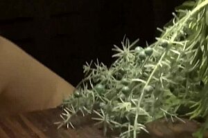 Miu 20-Year-Old Fukuoka Amateur JAV Action