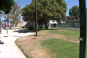 i'm addicted to short-haired brunette milf impaled on huge cock