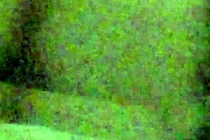 the hot wife bends over craving deep anal penetration from behind