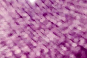 hey wanna see my homemade creampie with that monster cock? 😏