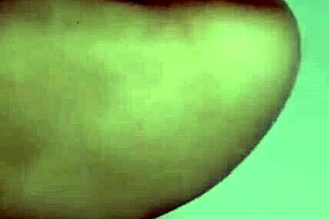 Wife begs cuckold to film her intense creampie moment