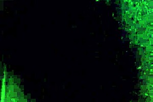 Candid retro leggings ass captured in hidden blue film