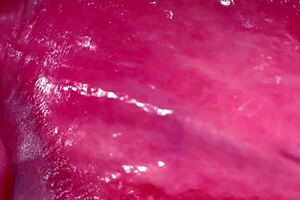 close up on amateur asian milf's shaved pussy 244 days post virginity loss