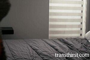 Tranny Foxxy Pounds Dillon Diaz Doggy with Monster Cock Lick!