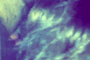 cassandra travesti passionately sucks her client's cock all morning