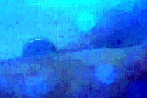 my heart pounds as her soft feet stroke my throbbing monster cock