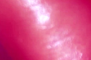 japanese babe blows cock till cum uncensored 💦😍