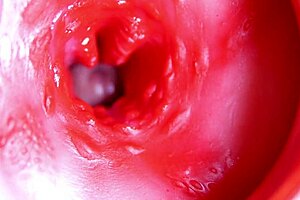 Big Red Cock Pounds Juicy Pussy Close To Explosive Cumshot