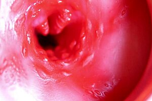 Big Red Cock Pounds Juicy Pussy Close To Explosive Cumshot