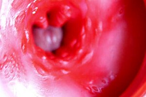 Big Red Cock Pounds Juicy Pussy Close To Explosive Cumshot