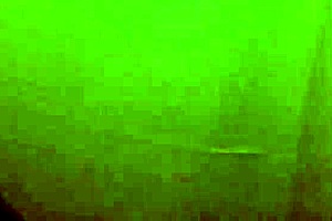 God, this bbc is so massive, I can't stop sucking and gagging on my lover's throbbing monster black cock!